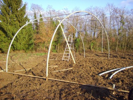 PICT0187.jpg