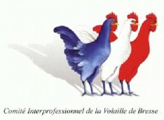 CIVB, fév. 2010