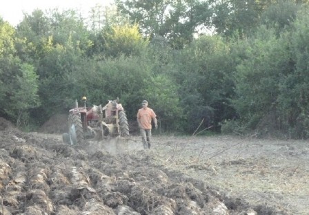 labourer