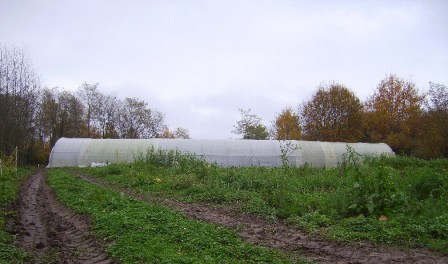 serre, nov. 2010