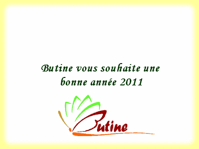 voeux, déc. 2010