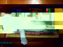 Digital Camera, juil. 2009 Digital Camera