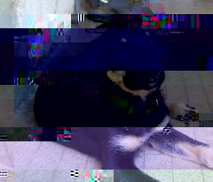 mAos_001.jpg, juil. 2009 mAos_001.jpg